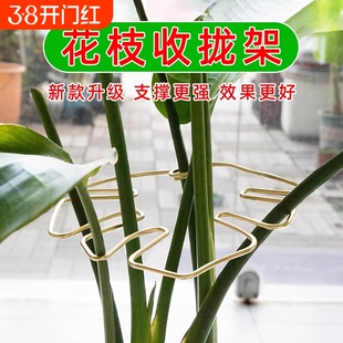 龟背竹支撑杆水培植物固定器神器收拢架防倒伏支架绿植花支架花枝