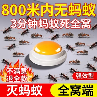 蚂蚁药家用全窝室内非无毒端杀除蚁灭蚁饵剂专用杀虫剂强力灭蚂蚁