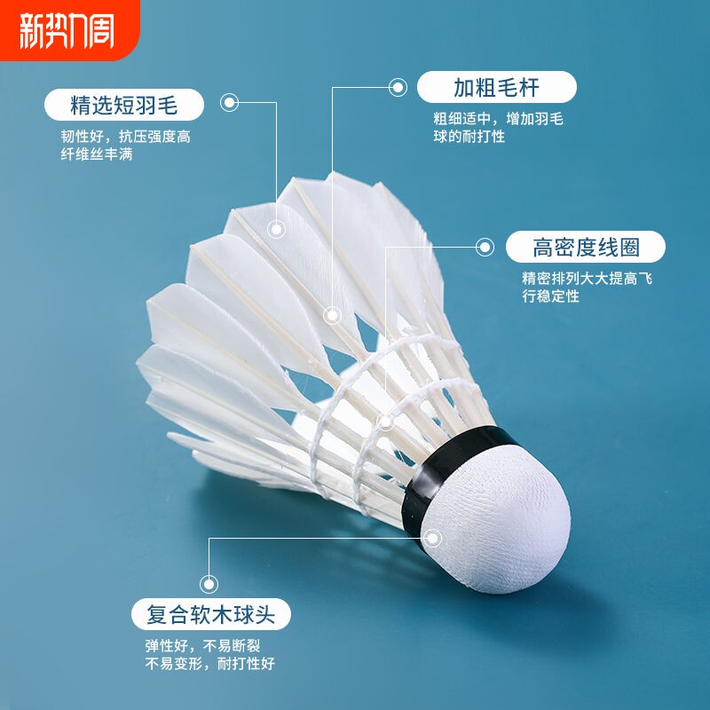 羽毛球官方正品12只装防风耐打王黑白羽室外训练比赛专用尼龙球6