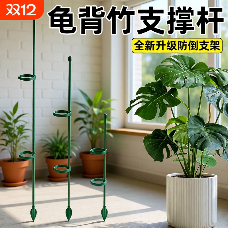 龟背竹防倒伏专用支撑杆