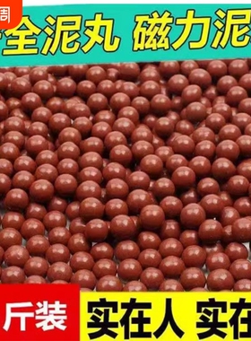 泥丸8mm 弹弓泥丸钢珠安全泥丸子弹10mm超硬陶丸泥丸安全弹丸包邮