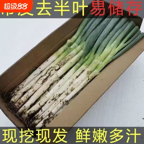新鲜大葱去半叶4.5kg包邮