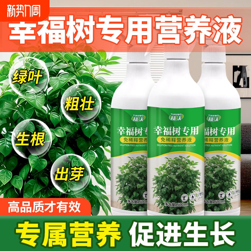 幸福树专用营养液干枯落叶掉叶子急救肥料室内黄叶植物通用营养液