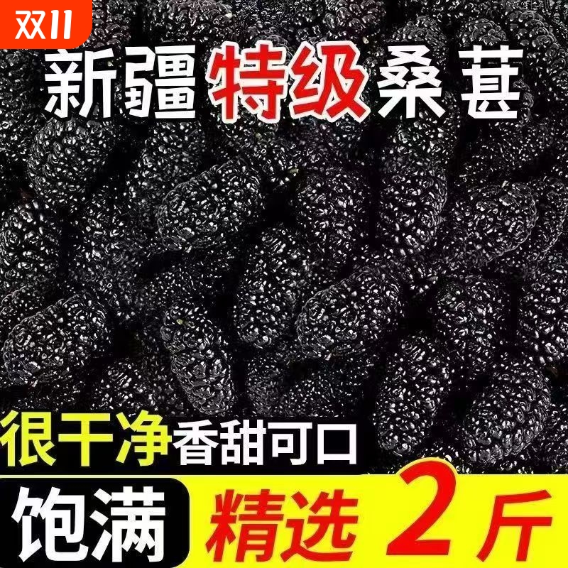 新疆野生黑桑葚桑葚干免洗无沙桑新疆罐装特级直泡茶泡水泡酒无沙