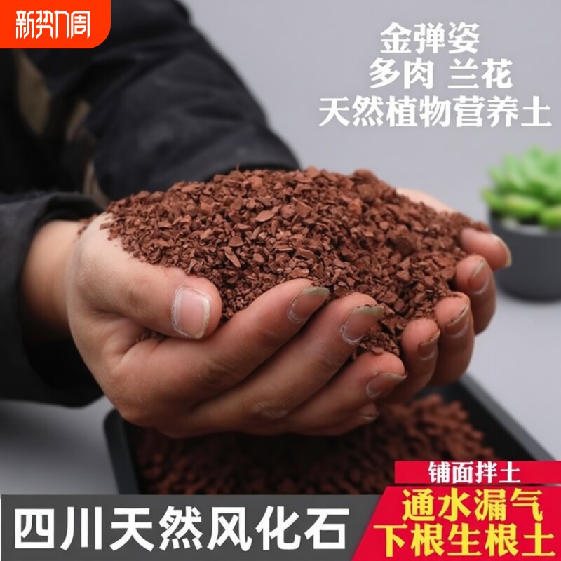 风化土颗粒风化石土壤盆景下山桩生根专用种植铺面通用型小叶疏松