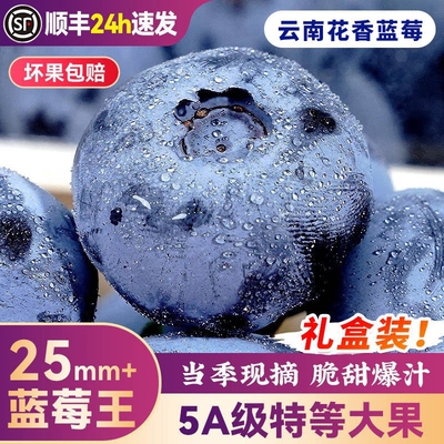 正宗蓝莓新鲜水果当季鲜果现摘