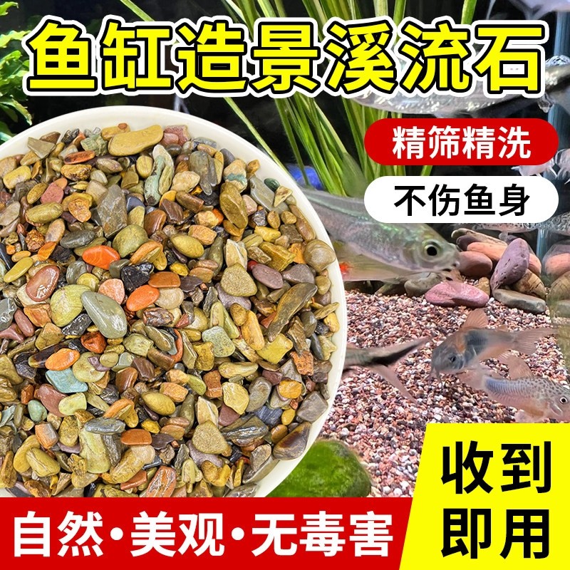 溪流沙鱼缸造景底砂天然川藏溪流石砂南美水草缸龟缸雷龙鱼底沙