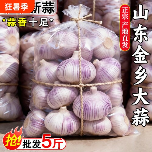 山东金乡原产地直发大蒜头干蒜