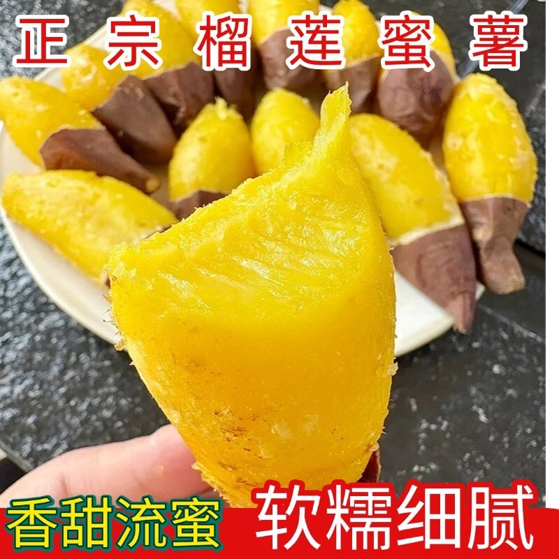 西双版纳正宗榴莲蜜薯5斤新鲜