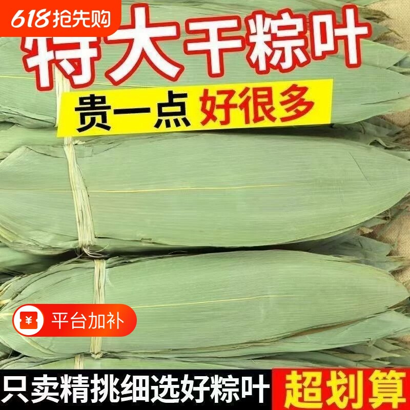 干粽叶粽子叶大宽叶端午包粽子专用野生新鲜箬叶棕叶批发包邮叶子
