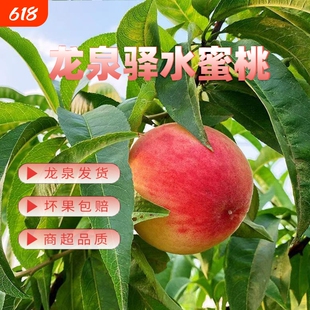 四川龙泉驿水蜜桃新鲜水果小白凤湖景桃子软桃顺丰礼盒装果园直发