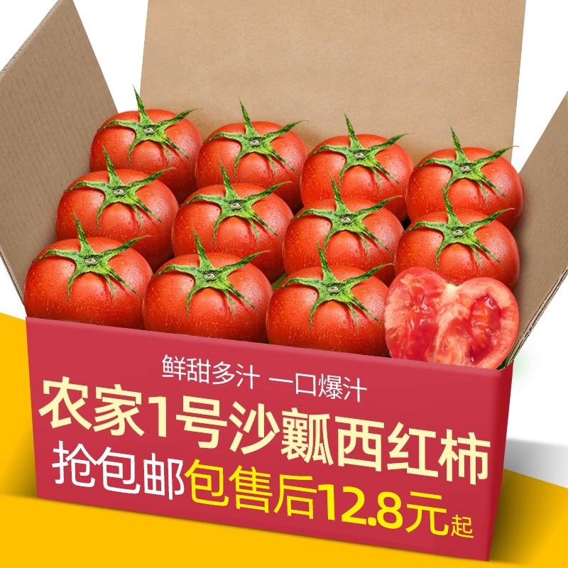 1号沙瓤西红柿自然熟非铁皮柿子水果普罗旺斯番茄新鲜当季现摘