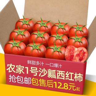 1号沙瓤西红柿自然熟非铁皮柿子水果普罗旺斯番茄新鲜当季现摘