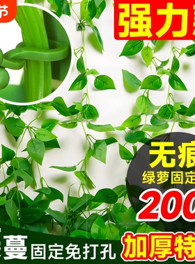 绿萝爬墙神器爬藤植物固定器家用强力挂钩不伤墙定型无痕免打孔ZN