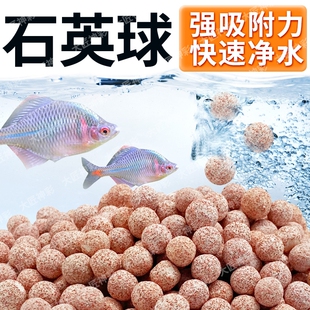 厂家批发鱼缸滤材石英球周转箱过滤材料水族细菌屋过滤石中空水质