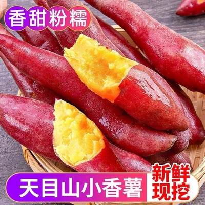 天目山小红薯新鲜正宗黄心沙地板栗红薯手指蜜薯地瓜甜糯软糯批发