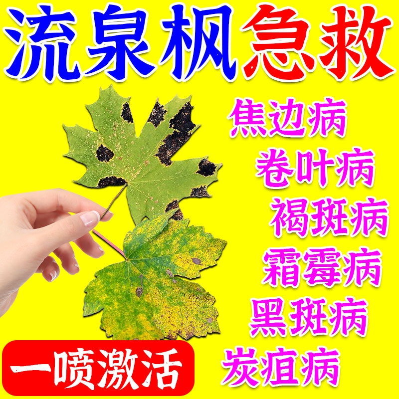 流泉枫营养液植物树叶子变黄黑斑白粉枯枝病根腐药一喷绿叶面肥