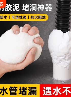 下水道防返臭神器下水管堵口器密封管道地漏厕所卫生间反味下水口