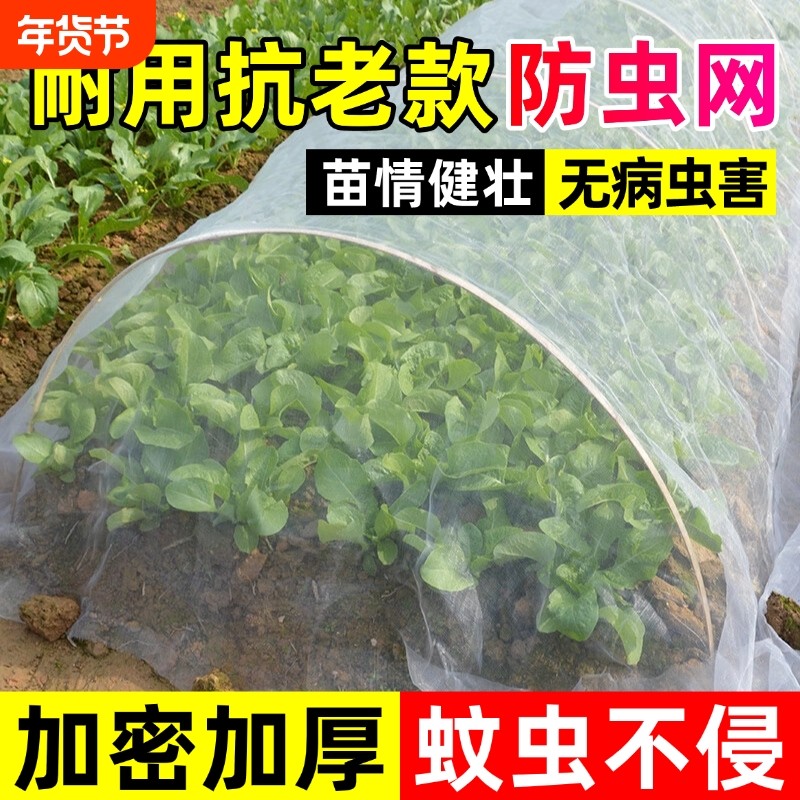 防虫网种菜专用80目阳台菜园菜地蔬菜农村院子农用加密加厚纱网