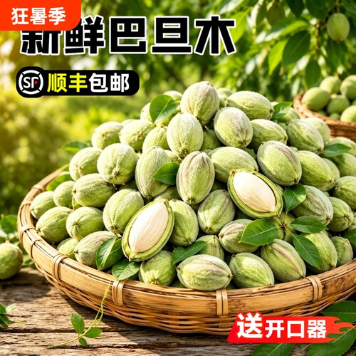 送开口器！新鲜巴旦木鲜果