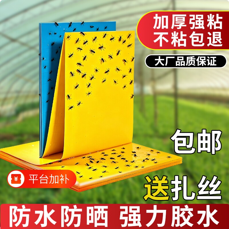粘虫板黄板双面专用小飞虫果蝇诱捕器灭苍蝇贴强力粘蝇纸室内防虫