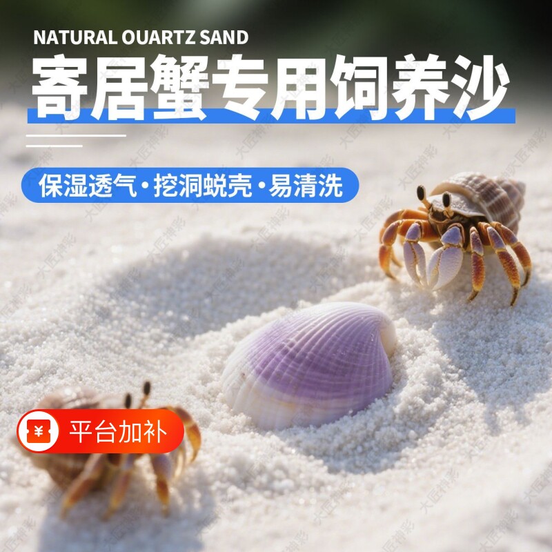 寄居蟹专用砂珊瑚沙天然垫材螃蟹海沙鱼缸造景底砂菲律宾白沙饲养