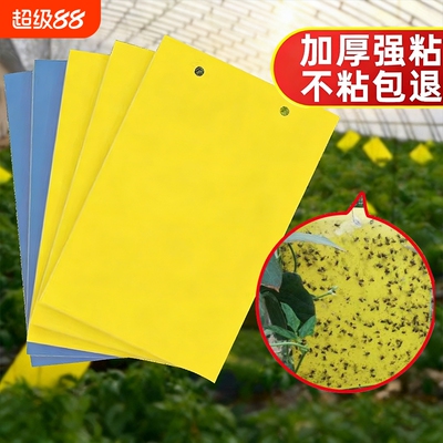 黄板双面粘虫板小飞虫果蝇诱捕器