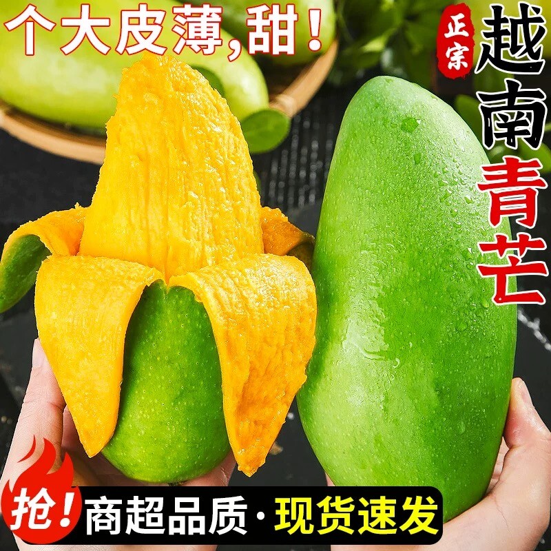 应季芒果大青芒生吃酸脆新鲜水果越南青皮金煌甜心芒大果农场时令