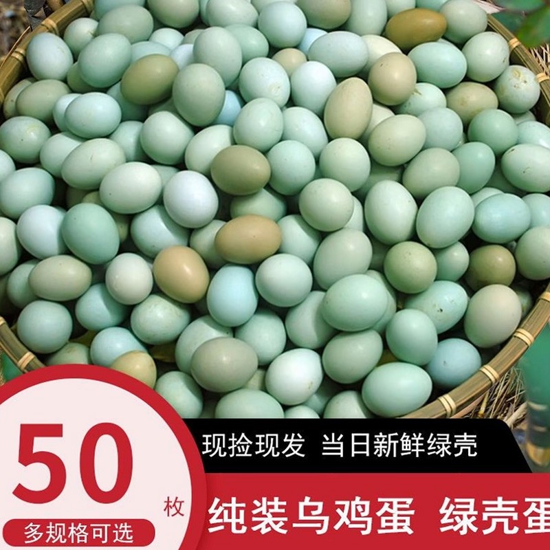 山林绿壳山鸡蛋20枚-50枚新鲜乌鸡蛋40枚正宗农村散养土鸡蛋整箱,水产肉类/新鲜蔬果/熟食,鸡蛋,淘宝优惠券,粉丝福利购,淘宝优惠卷