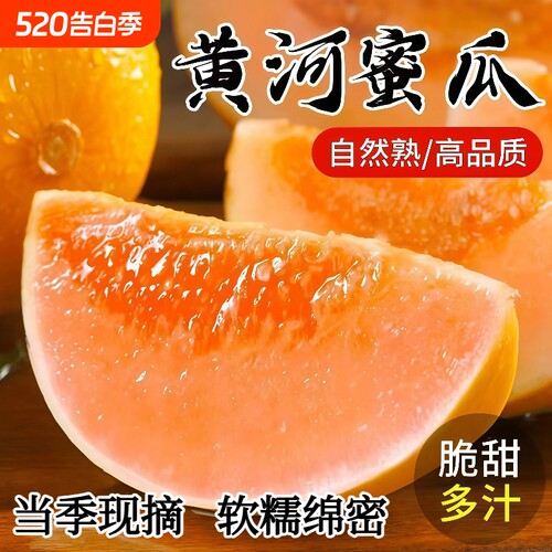 正宗黄河蜜甜瓜新鲜水果应当季黄金蜜瓜哈密瓜脆甜香瓜现摘整箱