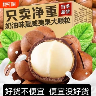 新货夏威夷果坚果500g夏果干果散装称斤年货孕妇零食批发果仁健康