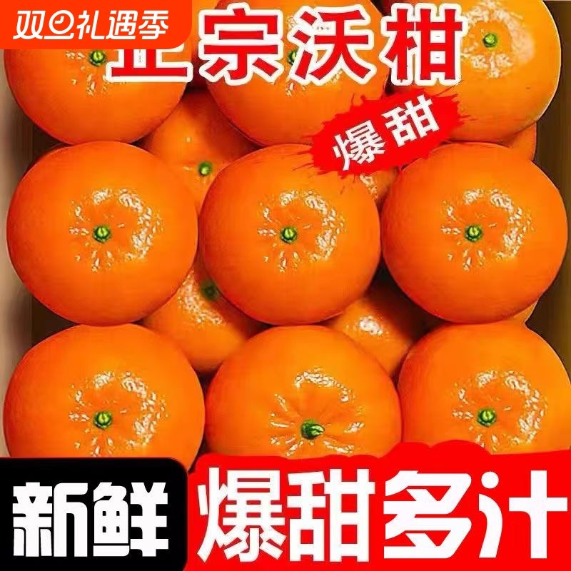 正宗广西武鸣沃柑4.5斤（60-70mm）