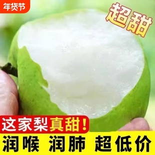 梨子新鲜包邮砀山青梨9斤皇冠梨水果翠冠梨蜜早雪梨整箱当季青皮