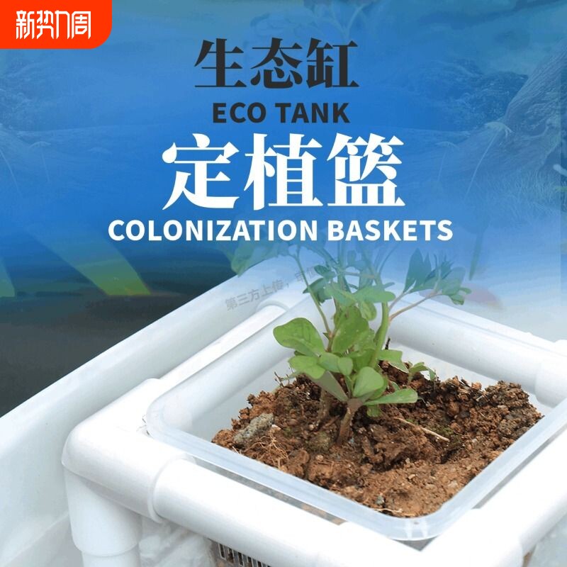 鱼缸水草定植篮家用造景装饰定植杯花卉固根器水草泥壁挂固定神器