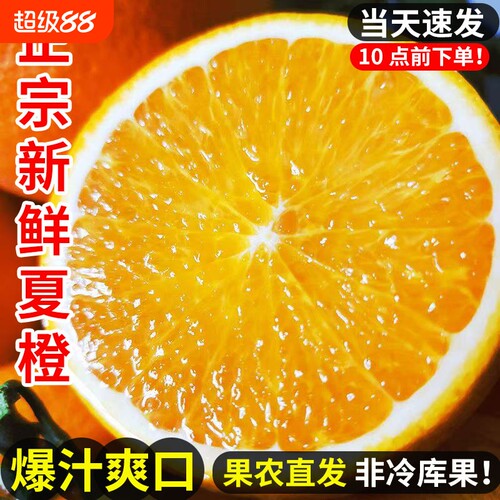 橙子夏橙脐橙湖北秭归新鲜大果甜春橙手剥橙整箱当季水果现摘