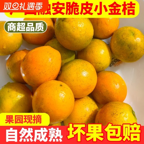 广西脆滑皮金桔新鲜水果桔子当季现摘孕妇小金金橘融安脆皮果园