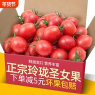 新鲜农家玲珑圣女果现摘