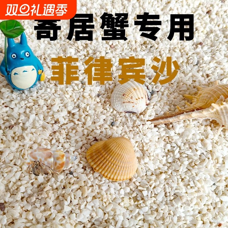 寄居蟹珊瑚天然热带鱼小沙沙滩海底世界酸洗草缸假山文玩石贝壳沙