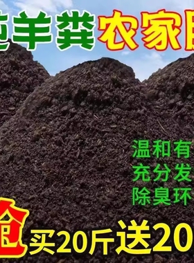 纯羊粪发酵有机肥腐熟粪肥种花菜肥果蔬养花卉专用通用肥料内蒙古