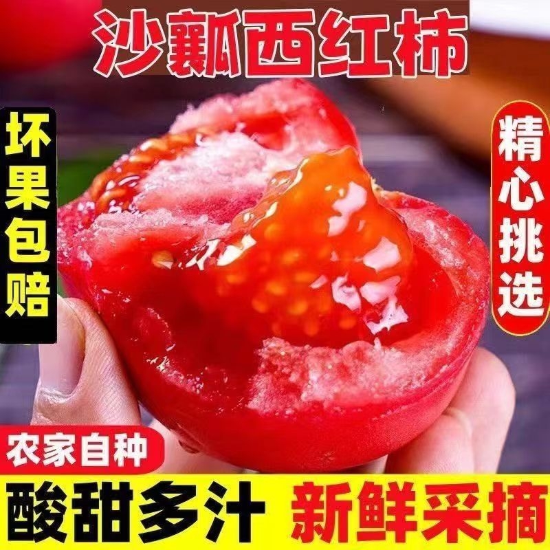 西红柿露天现摘沙瓤生吃番茄自然熟农家现摘现发9斤蔬菜整箱