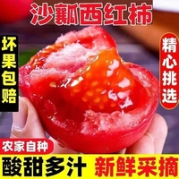 西紅柿露天現(xiàn)摘沙瓤生吃番茄自然熟農家現(xiàn)摘現(xiàn)發(fā)9斤蔬菜整箱