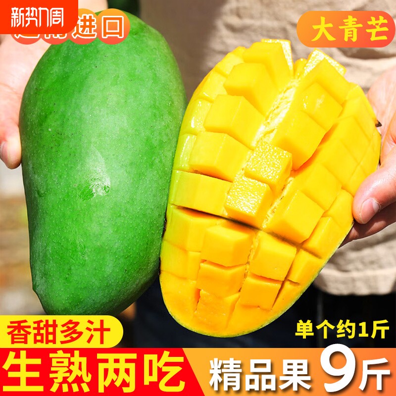 越南进口大青芒果整箱9斤包邮新鲜现摘当季水果肉小甜蜜多汁5精选