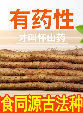 铁棍山药铁杆淮山怀山药新鲜5斤特产小白嘴山药宝宝辅食自提纯正