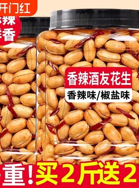 鬼花生500g袋装下酒菜香辣油炸