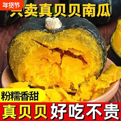 正宗山东板栗味贝贝小南瓜