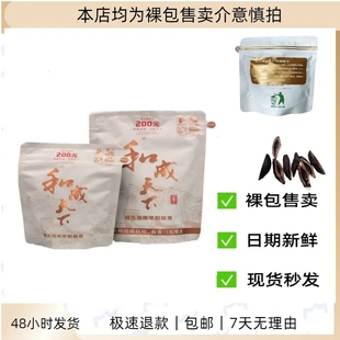 正品 门店同款 海南嫩青果槟榔 裸包槟榔新鲜内袋版 和成天下200元