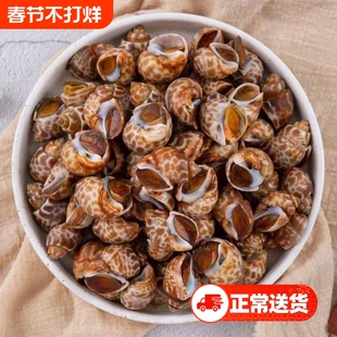 花螺活体冷冻海螺新鲜东风螺小香螺无沙捞汁海鲜生鲜水产商用冰鲜