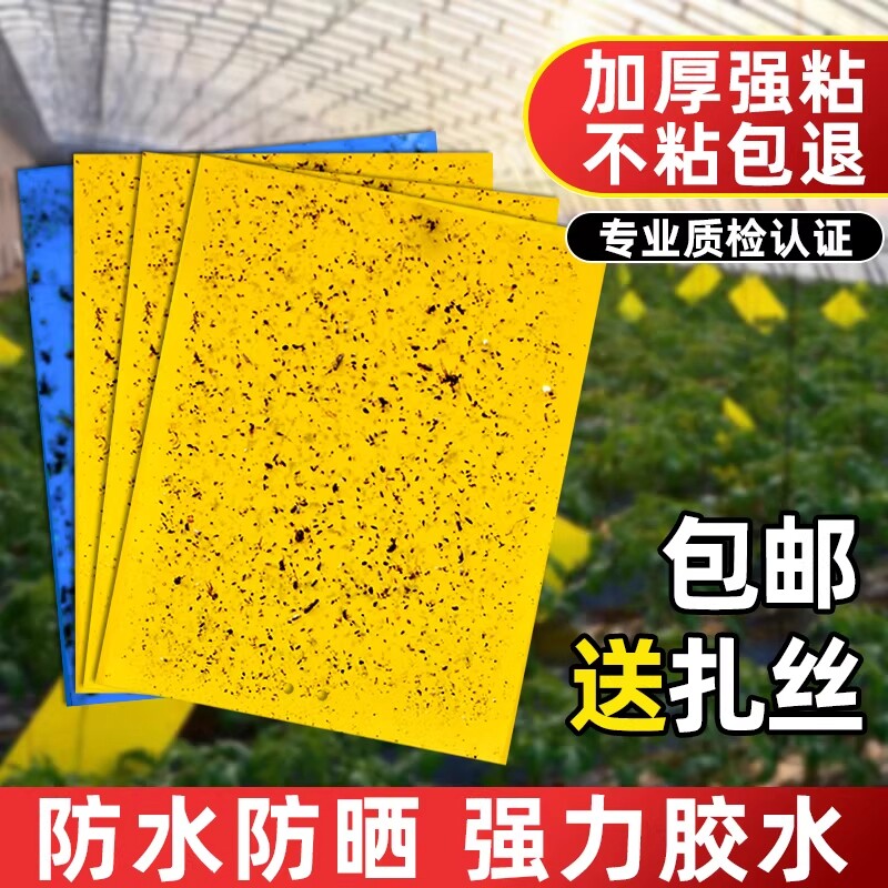双面粘虫板黄板大棚菜园小飞虫果蝇诱捕器粘蚊子贴纸板蚜虫贴强力