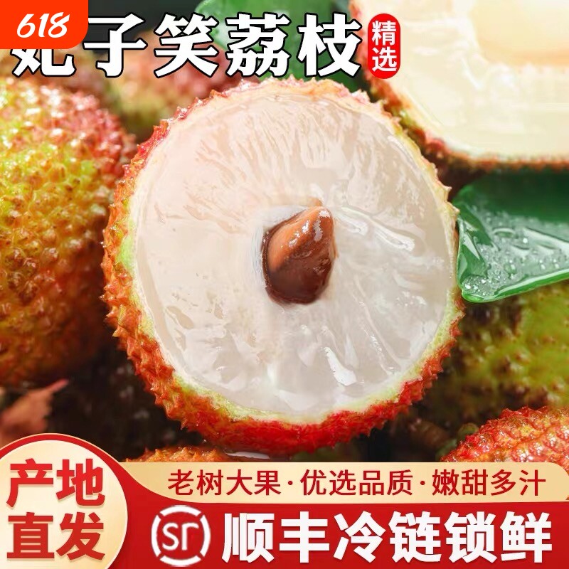顺丰妃子笑荔枝5斤现货荔枝新鲜现摘当季水果整箱果精品采摘优选