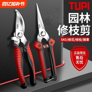 修剪树枝专用剪刀修枝剪刀SK5钢园林园艺果树剪剪子剪枝工具花艺